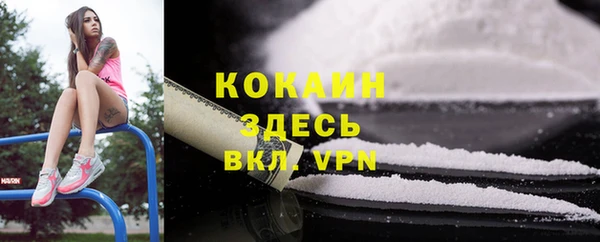 ГАЛЛЮЦИНОГЕННЫЕ ГРИБЫ Алексин