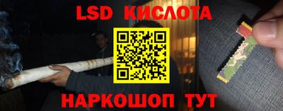 СК Заводоуковск