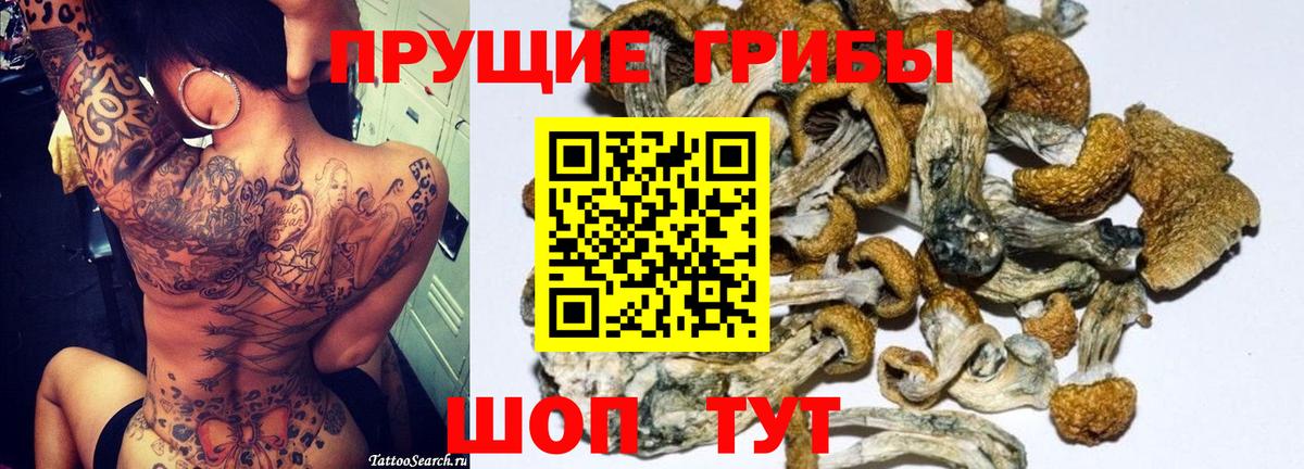 Псилоцибиновые грибы ЛСД  Галлюциногенные грибы Magic Shrooms  где купить наркоту  Нурлат  Вход с VPN 